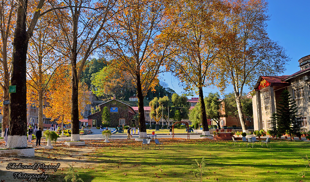 Army Burn hall, Ayub Medical College, Abbottabad Public School